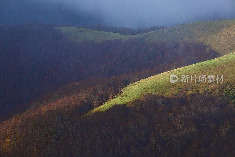 Irati forest，潘普洛纳，纳瓦拉，西班牙。